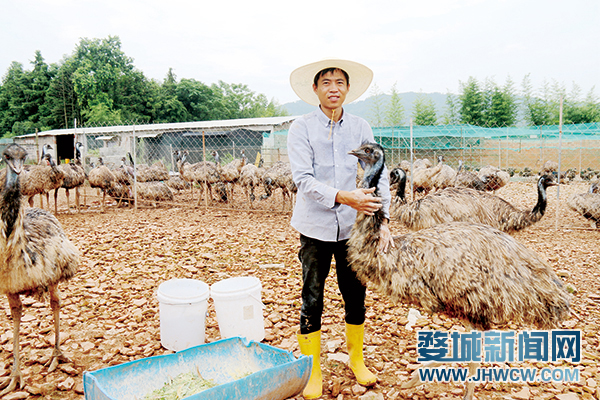 致富经朱晓红的视频_漠河残疾人朱晓红视频_朱晓红残疾人视频