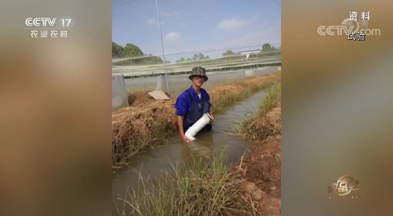 致富经养殖青蛙视频_致富经养殖青蛙视频_致富经养殖青蛙视频