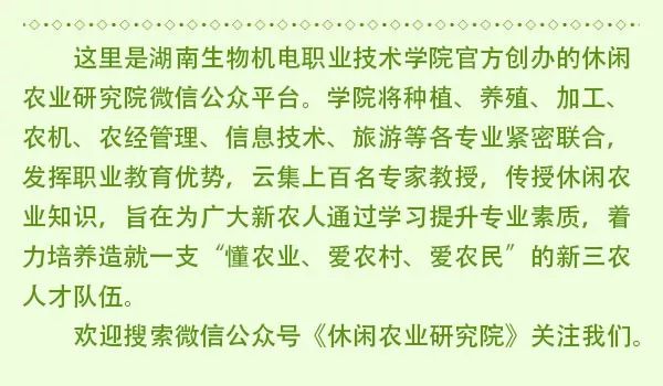 致富经养殖鸡视频_农业节目致富经养殖鸡视频_果园养鸡致富经