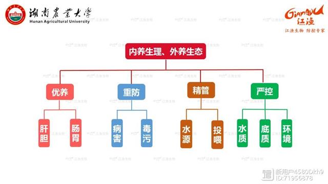 致富经养殖青蛙视频_致富经养殖青蛙视频_致富经养殖青蛙视频