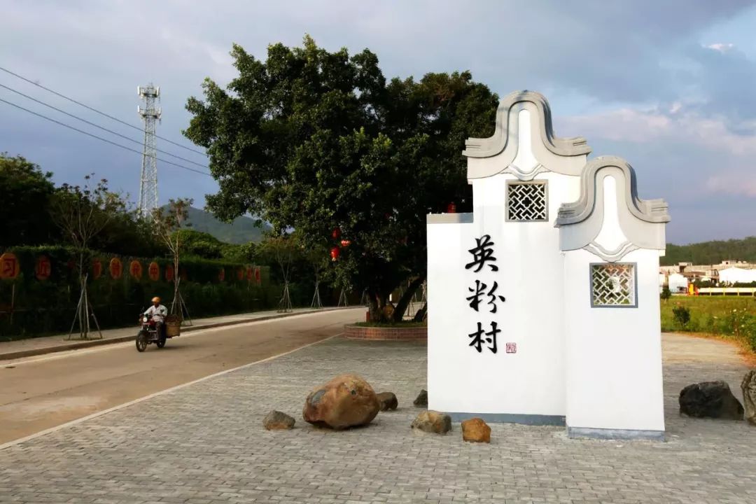 种植什么风景树赚钱_致富经种树的创业项目_风景树种植致富