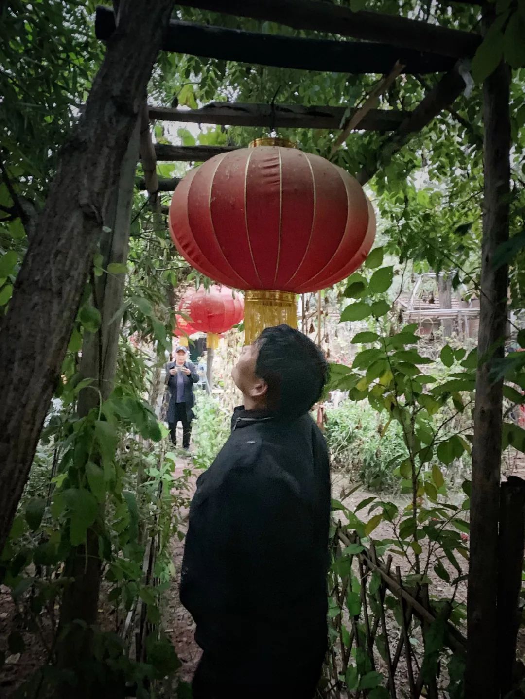 致富经芦笋视频_视频致富芦笋是真的吗_致富经竹笋致富视频