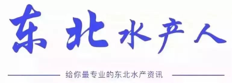 用饲料养殖鳜鱼，亩利润竟高达20000左右，了解养殖技术点这里。