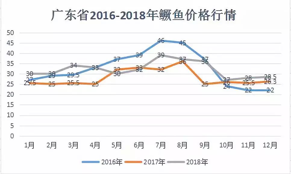 致富养殖桂鱼图片_桂鱼养殖致富经_致富养殖桂鱼怎么样