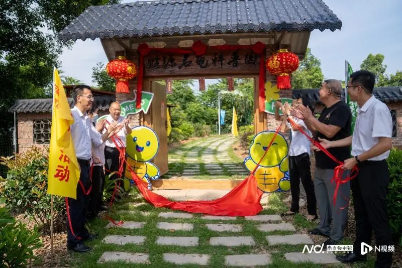 养殖50多万只乌龟！韶关浈江名龟科普基地开园