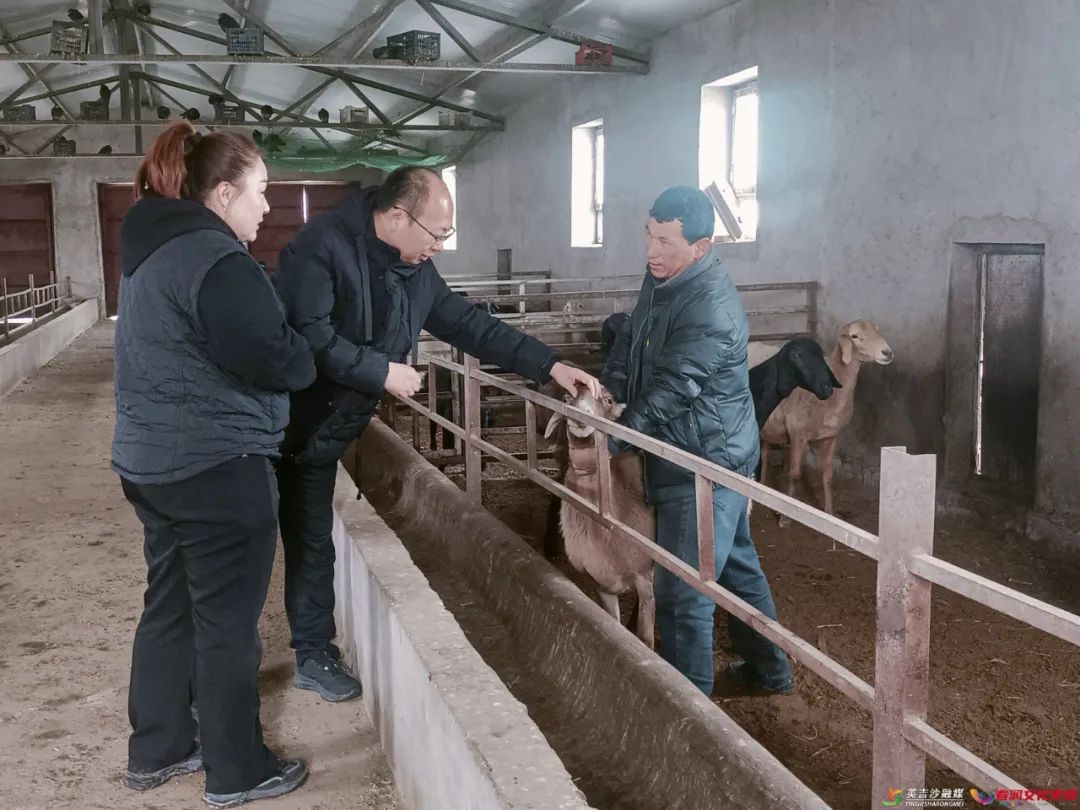 致富养殖什么最赚钱_养殖 致富_致富养殖场