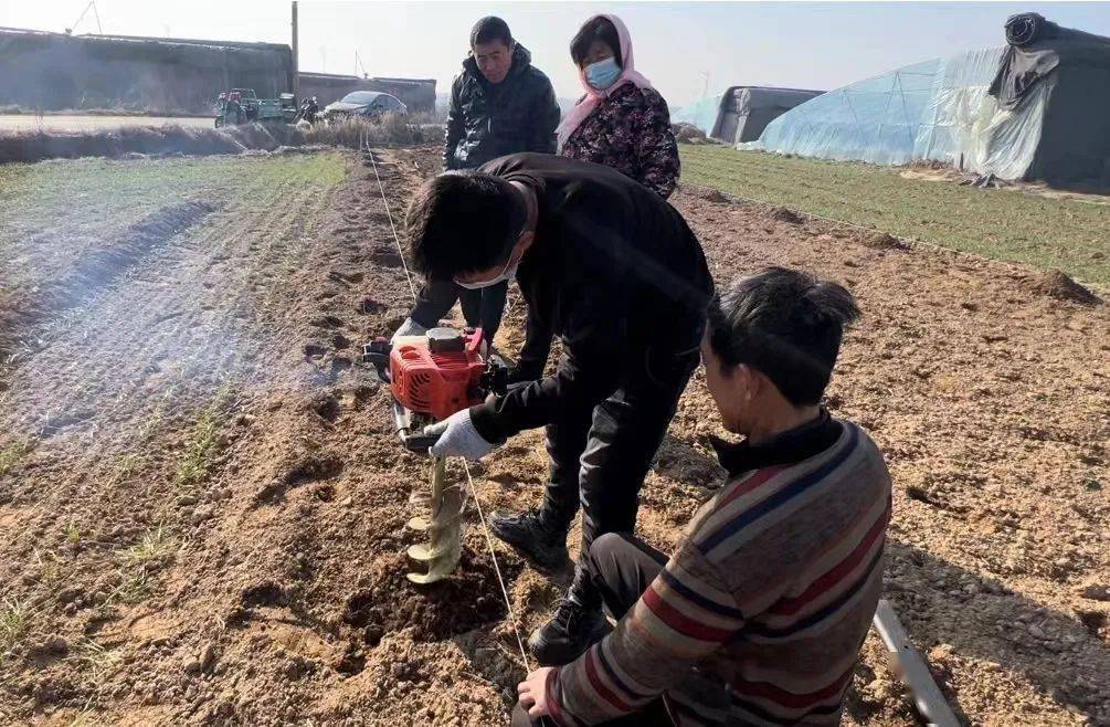 平度大棚种植致富_平度种大棚哪里多_山东平度大棚承包