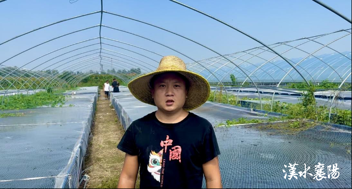 刺鳅致富经_刺鳅鱼养殖视频_刺鳅科多少钱一斤