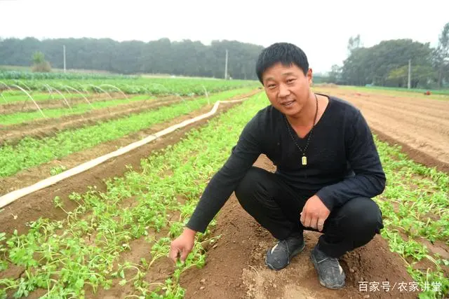 种植致富业_种植致富新项目_怎样搞种植致富