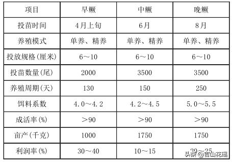 翘嘴鳜“广清一号”池塘高效养殖技术