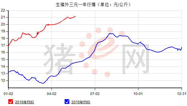 吃狗肉的人渐多，肉狗养殖成赚钱新门路！如何看待爱吃狗肉的人？