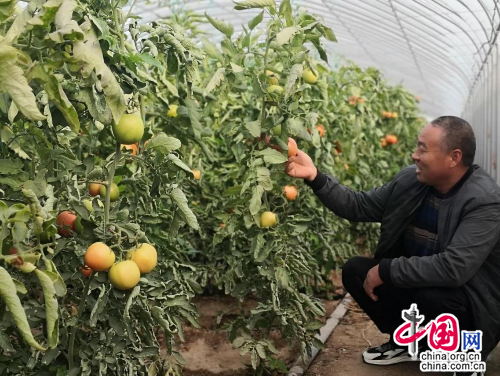 农民致富种植项目_农村致富路_种植农民致富新路