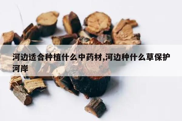 河边适合种植什么中药材,河边种什么草保护河岸