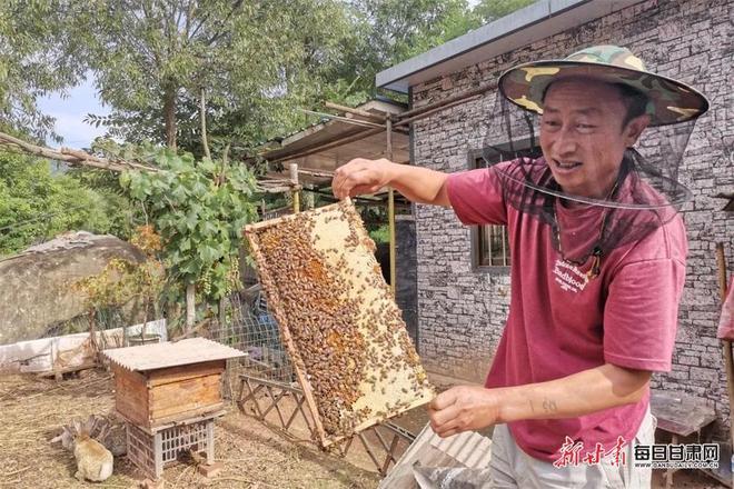 致富养殖视频_致富经养鸡小伙_小伙 养殖 致富