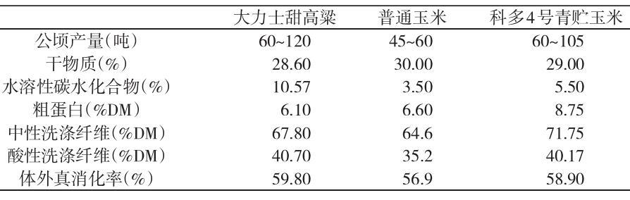 育肥羊饲养管理技术_育肥羊的舍饲养殖技术_养羊育肥方法