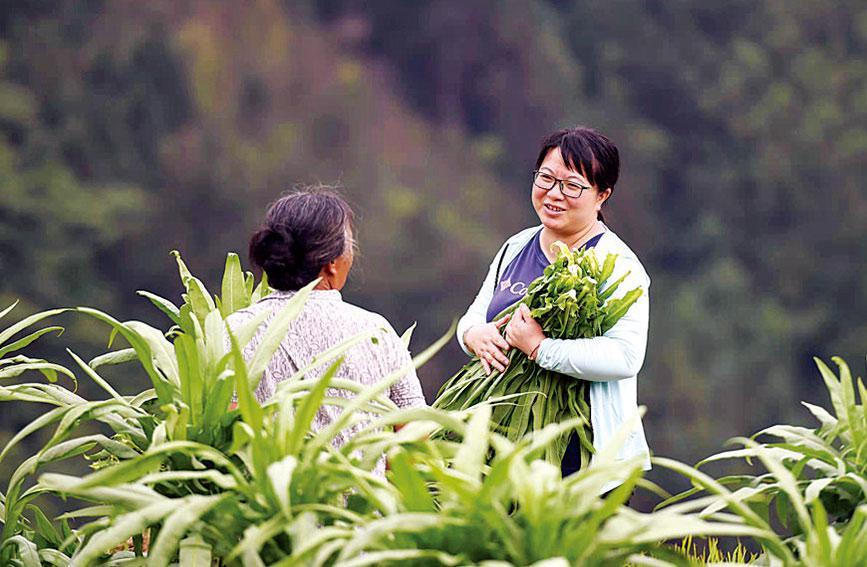 广西融水：苗山苗正红