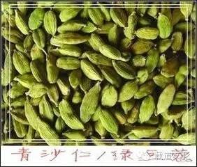 【载道品鉴】开胃消食的草药——豆蔻