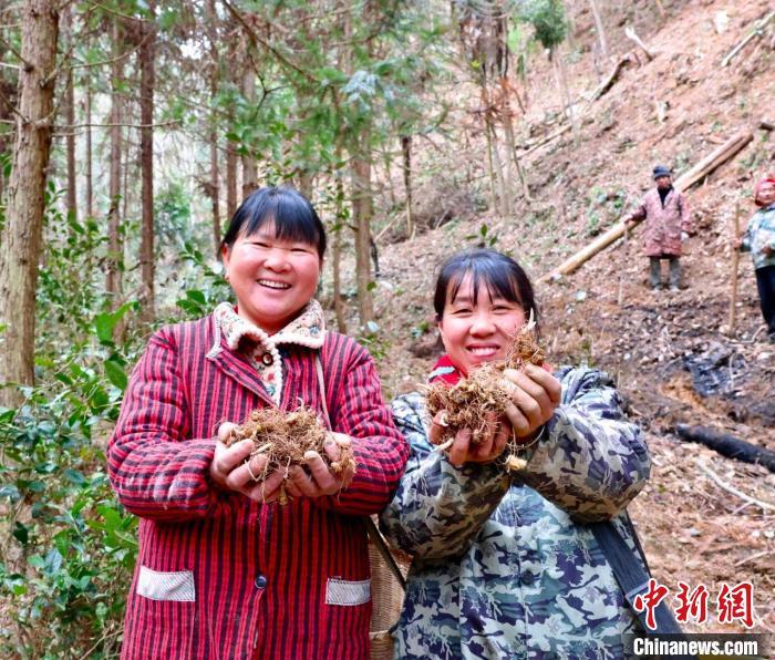 种植致富业_致富经创业项目农村种植业_农村种植技术致富