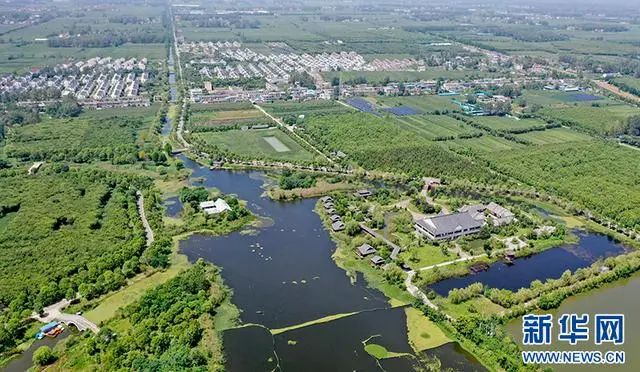 乡村振兴在行动｜安徽利辛：抓住致富“牛鼻子” 蹚出发展好前景