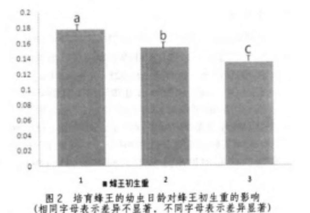 杭州蜂迅文化创意有限公司_蜂雷平台好不好_中蜂养殖技术 迅雷下载