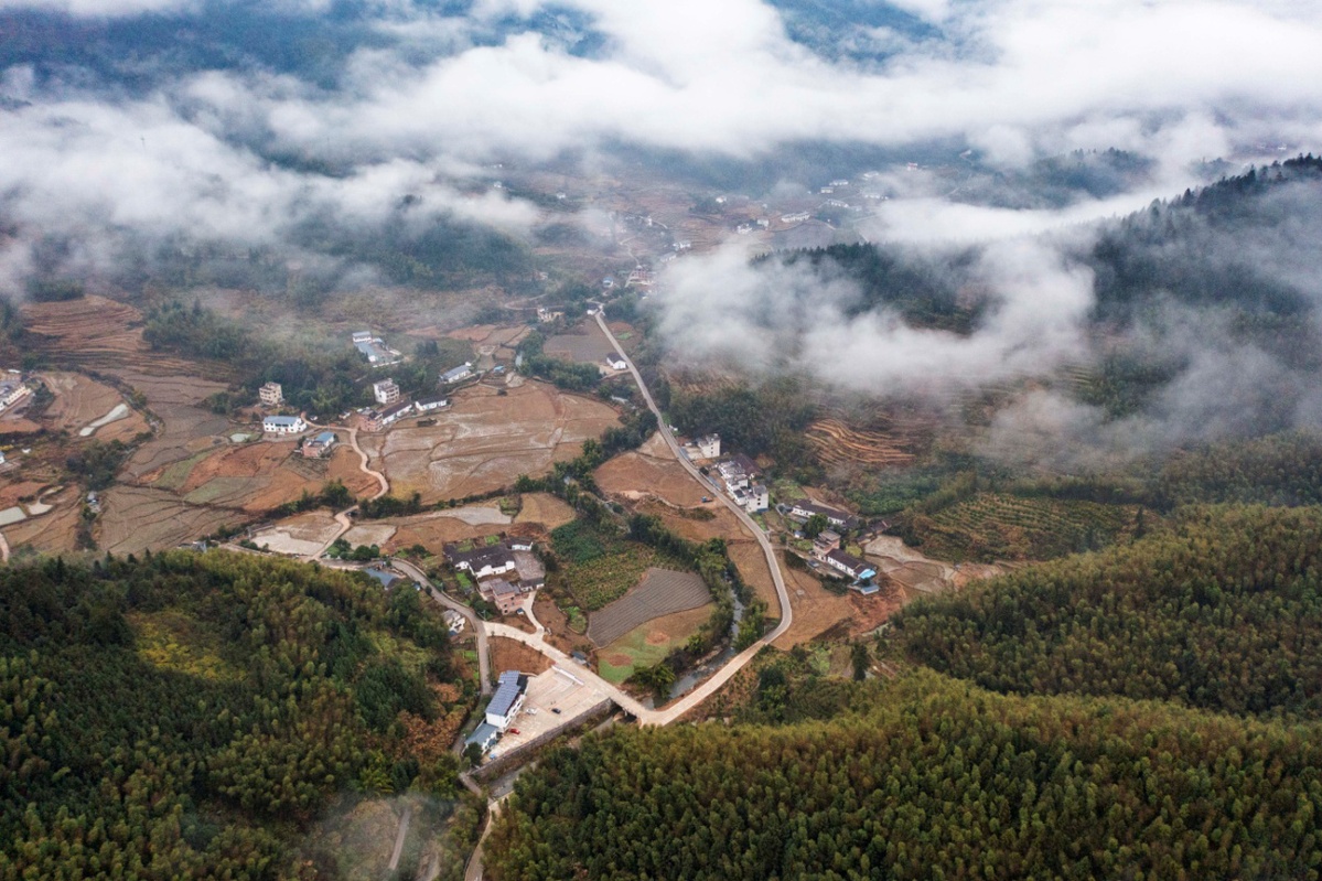 崇义赤水：养殖石斑鱼搅动一池春水