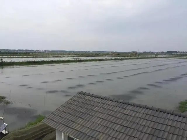 聊城淡水虾养殖技术_淡水虾养殖池_淡水虾养殖视频教程