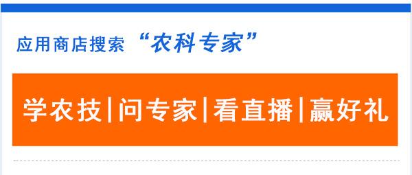 致富经深山养蜂人视频_深山养蜂人纪录片_大山里的养蜂人视频