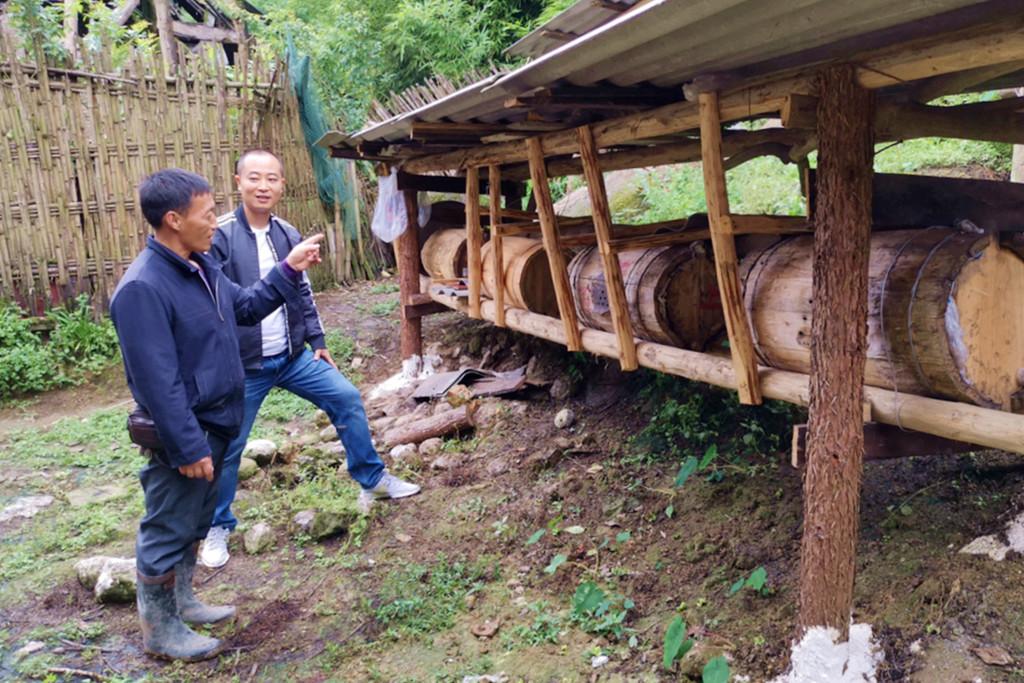 山里采访养蜂大叔_致富经深山养蜂人视频_深山养蜂人纪录片