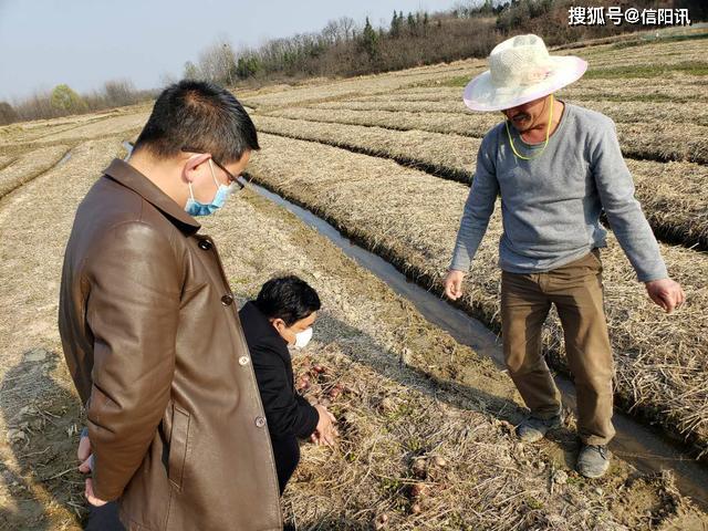 致富经大球盖菇视频_致富经大球盖菇视频_致富经大球盖菇视频