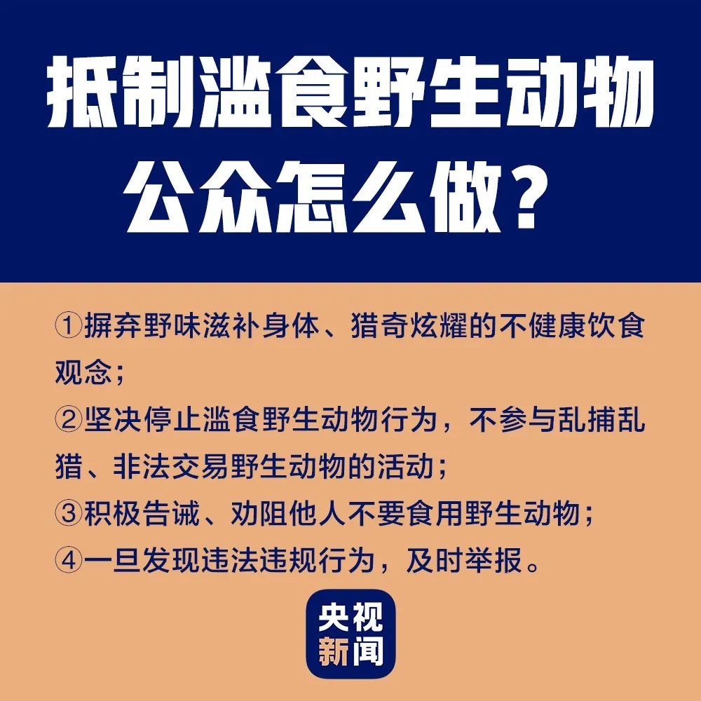 养殖东北野兔技术视频_东北野兔养殖技术_养殖东北野兔技术要求