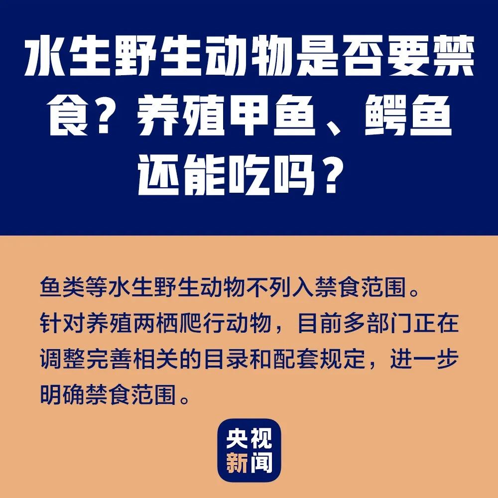 养殖东北野兔技术视频_养殖东北野兔技术要求_东北野兔养殖技术