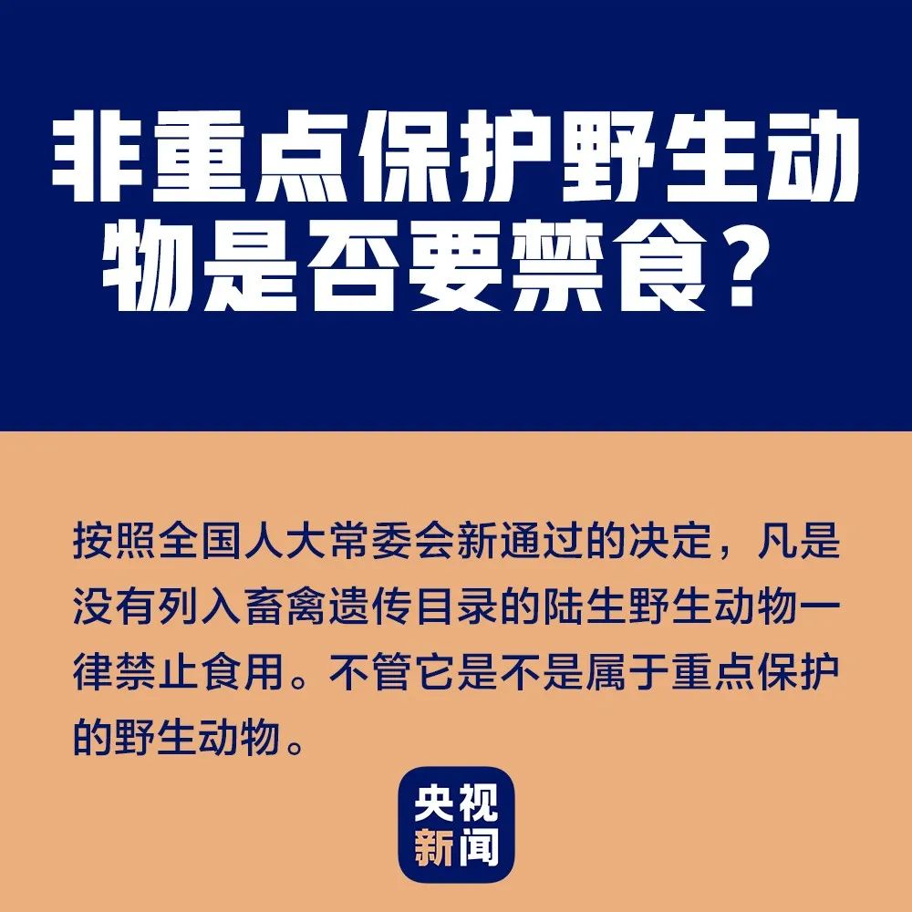 东北野兔养殖技术_养殖东北野兔技术要求_养殖东北野兔技术视频