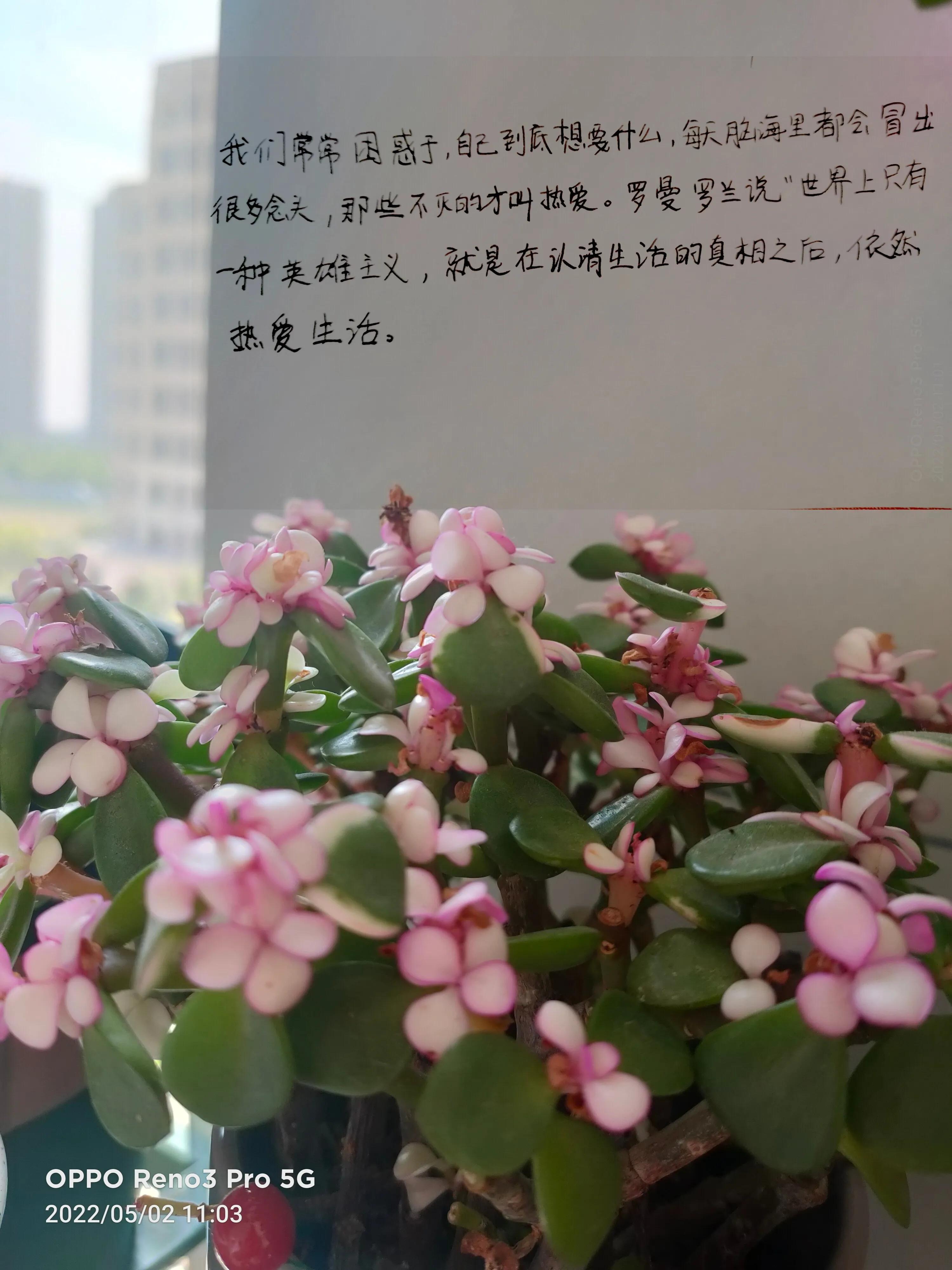 农业种植致富句子_农民致富的句子_鼓励种植致富的用词