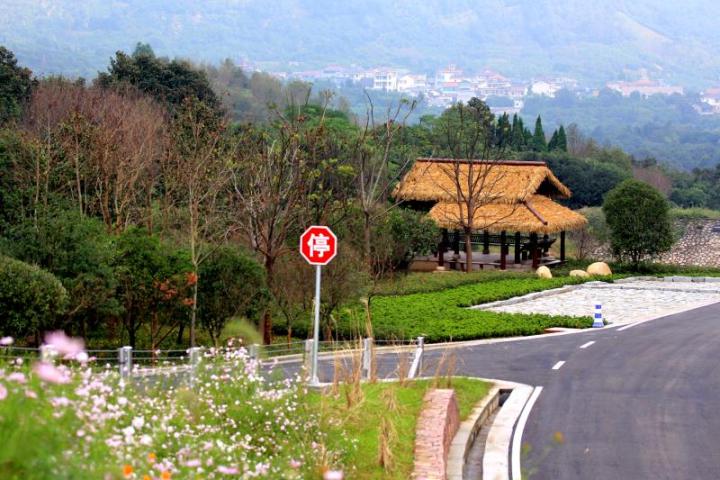 致富经兰花种植视频_中央台兰花致富视频_视频致富兰花种植教程