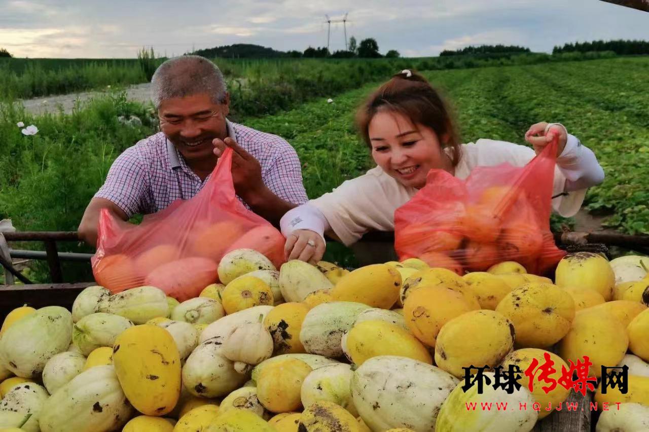 香瓜种植增添新技术_农民种植香瓜植致富增收_香瓜种植高产技术