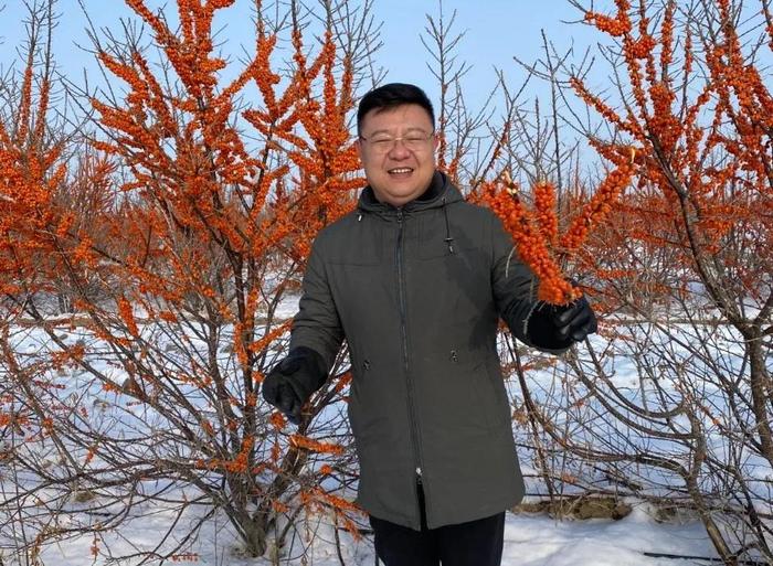 哈蜜瓜种植视频技术_哈蜜瓜栽培技术视频_哈蜜瓜种植技术视频种