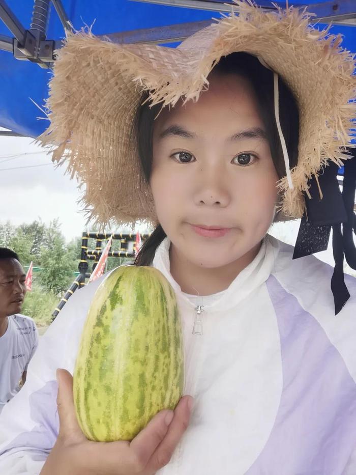 哈蜜瓜栽培技术视频_哈蜜瓜种植技术视频种_哈蜜瓜种植视频技术