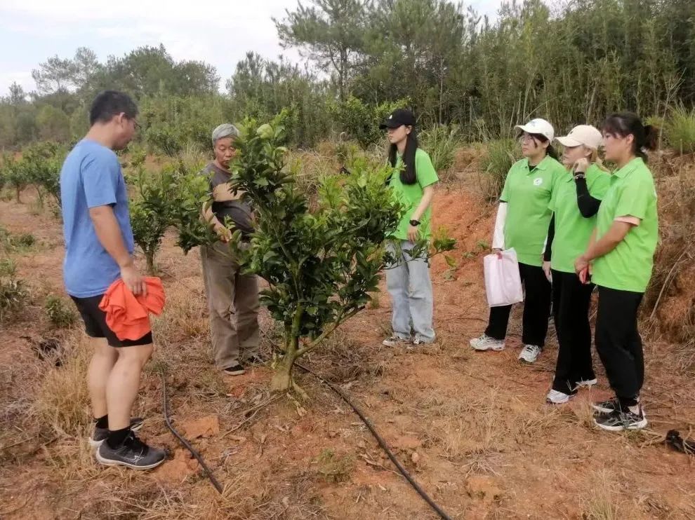 种植竹荪赚钱吗_竹荪种植前景与效益_致富经竹荪种植