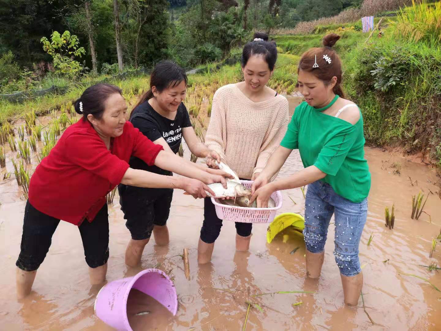 致富文案养殖鱼的句子_养殖致富鱼文案_致富文案养殖鱼怎么写