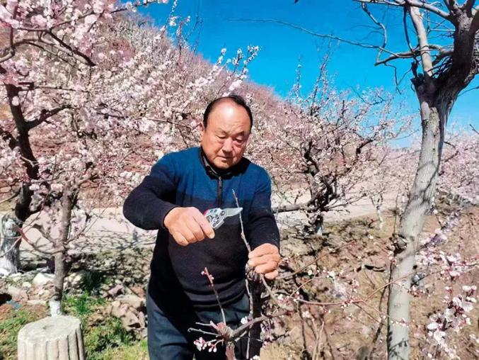 央媒看临沂丨《瞭望》点赞“新愚公”公茂田：给我一座荒山，还你一片绿洲