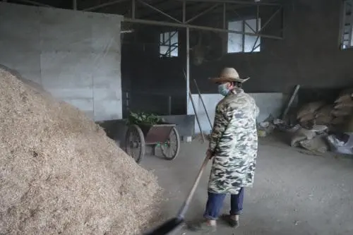 陕南种植物致富_陕南地区适合种植什么_陕南植物类型