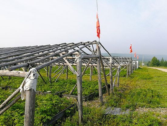 致富经种灵芝视频_灵芝养殖成本和利润_灵芝养殖致富案例