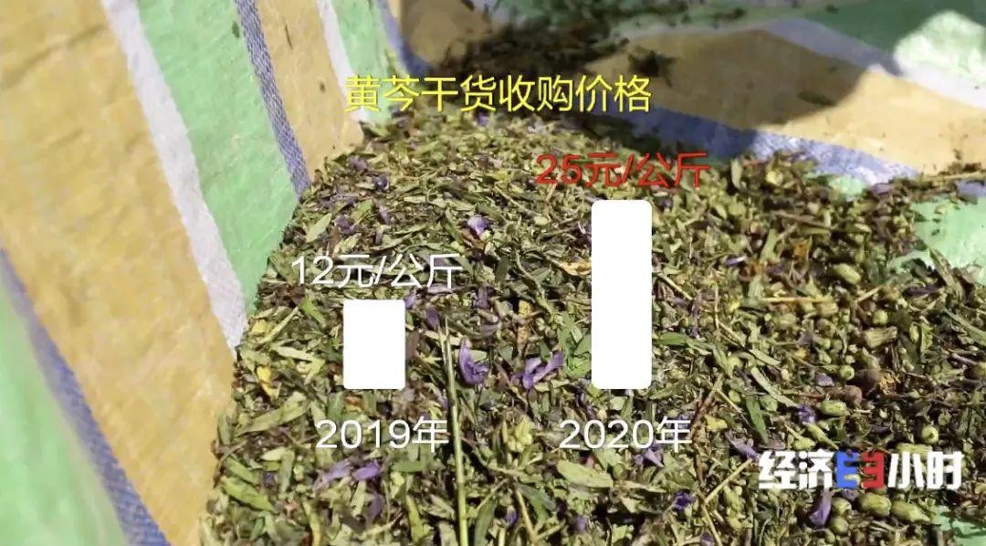 致富经中草药创业项目_中药材致富_致富药中草创业项目有哪些