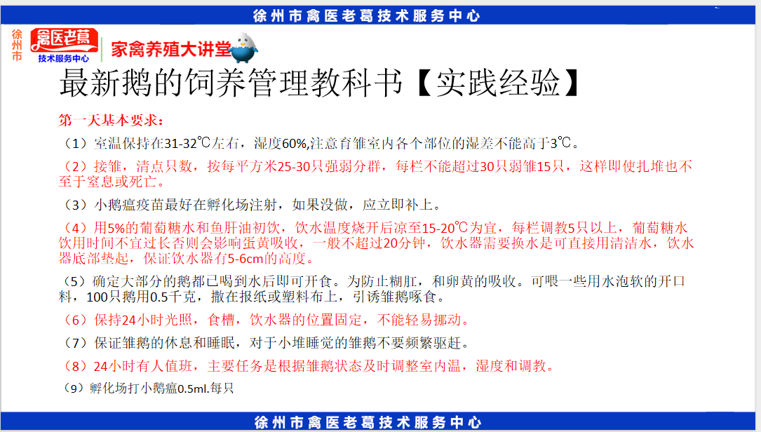 鹅养殖技术视频教程_养鹅视频大全技术_养殖养鹅技术视频