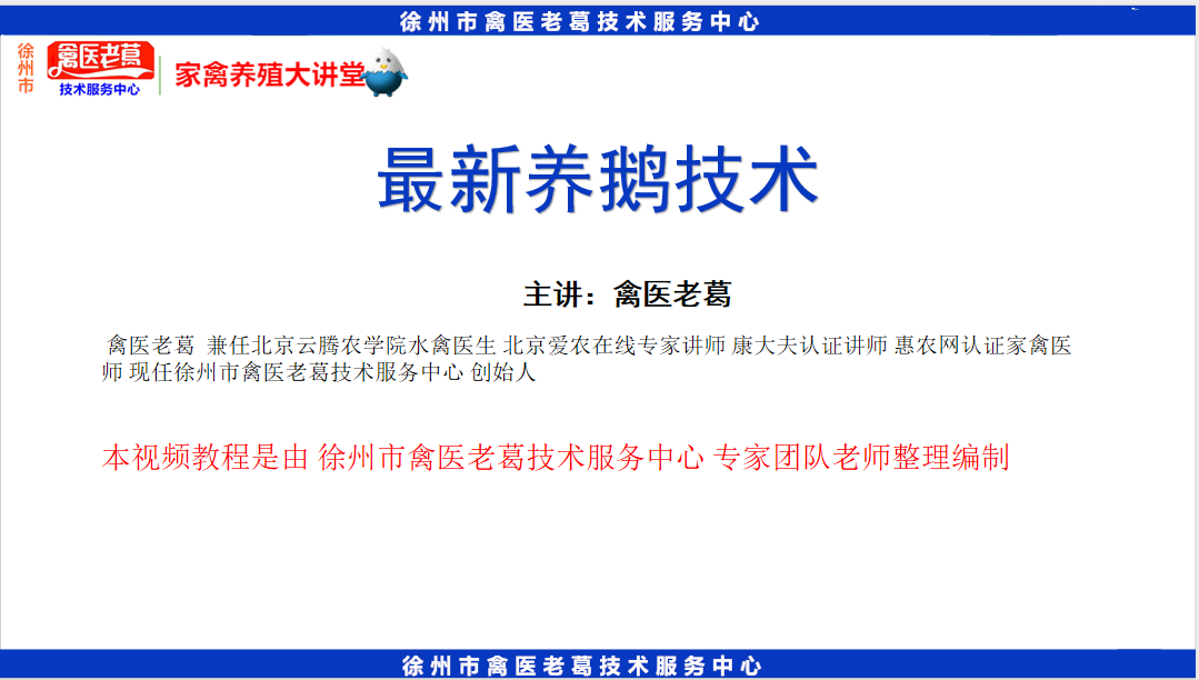 养鹅视频大全技术_养殖养鹅技术视频_鹅养殖技术视频教程