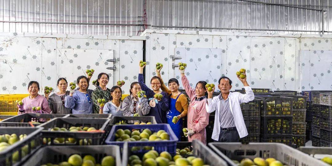 致富经种植绿色食品_绿色食品种植基地广告_种植致富业