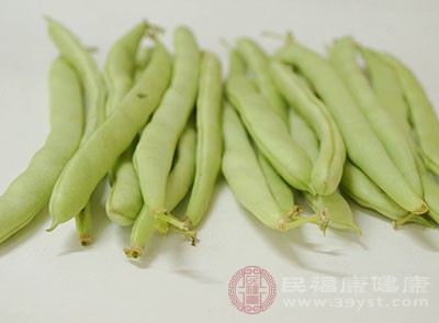 北方春季豆角种植时间和方法_春季北方种植技术豆角怎么样_北方春季豆角种植技术