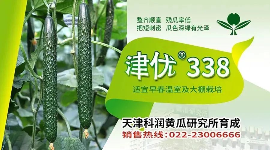 北方春季豆角种植技术_春季北方种植技术豆角怎么样_北方豆角几月份播种最适合