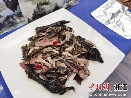 致富经视频黑凤乌鸡_乌鸡致富经_致富经黑鸡