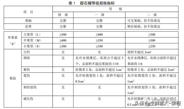 石榴种植技术视频_视频石榴种植技术教程_石榴种植视频教程